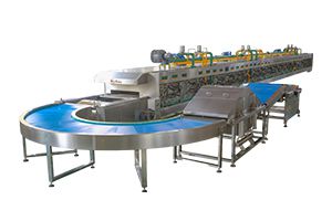 Línea automática de producción de galleta biscuit