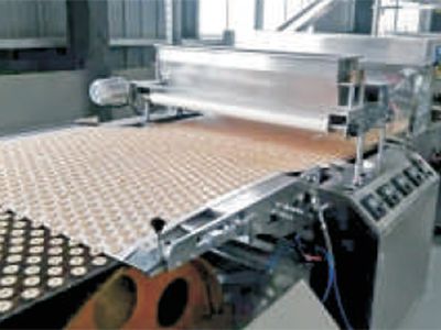 Línea automática de producción de galleta biscuit