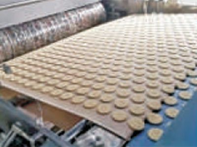 Línea automática de producción de galleta biscuit