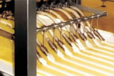 Línea automática de producción de bizcochos